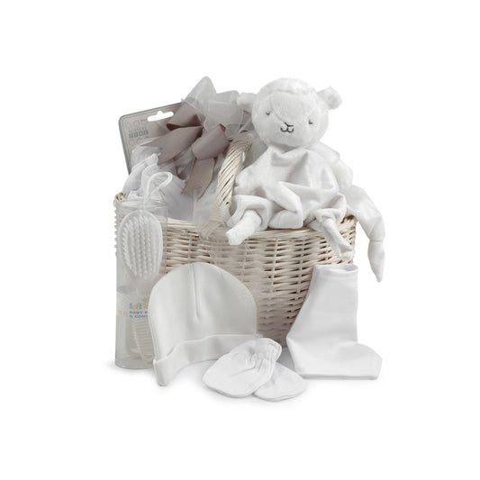 Newborn White Gift Basket